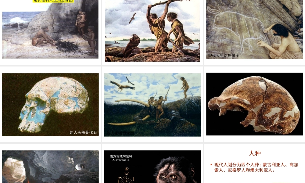 八年级生物下册 第21章 第三节 人类的起源与进化课件3 （新版）北师大版