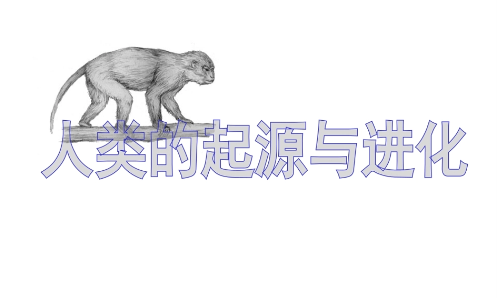 八年级生物下册 第21章 第三节 人类的起源与进化课件4 （新版）北师大版