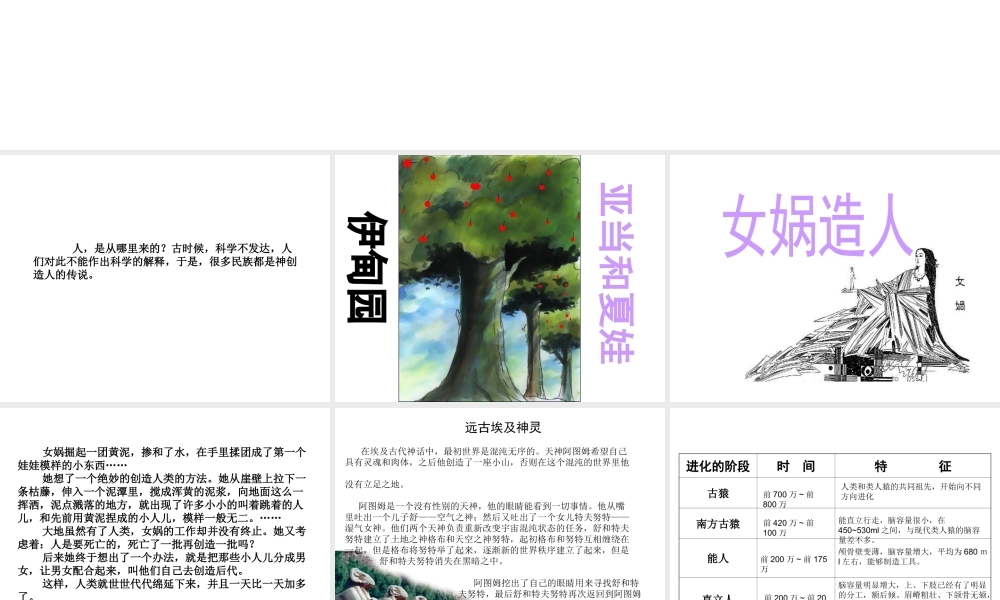 八年级生物下册 第21章 第三节 人类的起源与进化课件4 （新版）北师大版