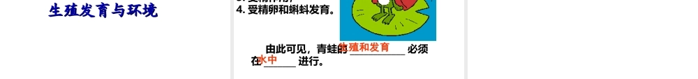 八年级生物下册 7.1.3 两栖动物的生殖和发育课件2 （新版）新人教版-（新版）新人教版初中八年级下册生物课件