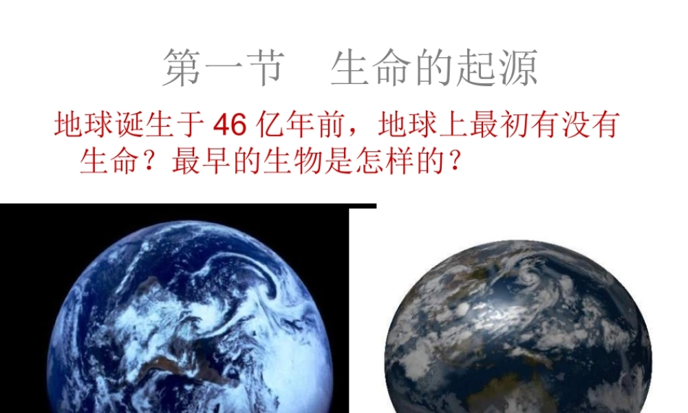 八年级生物下册 第21章 第一节 生命的起源课件1 （新版）北师大版