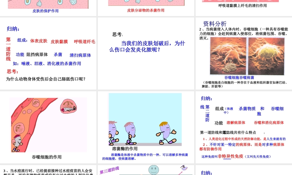 八年级生物下册 第八单元 第一章 第2节 免疫和计划免疫课件1 新人教版-新人教级下册生物课件