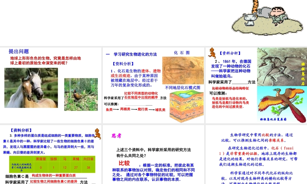 八年级生物下册 第7单元 第3章 第2节《生物进化的历程》课件 新人教版-新人教版初中八年级下册生物课件