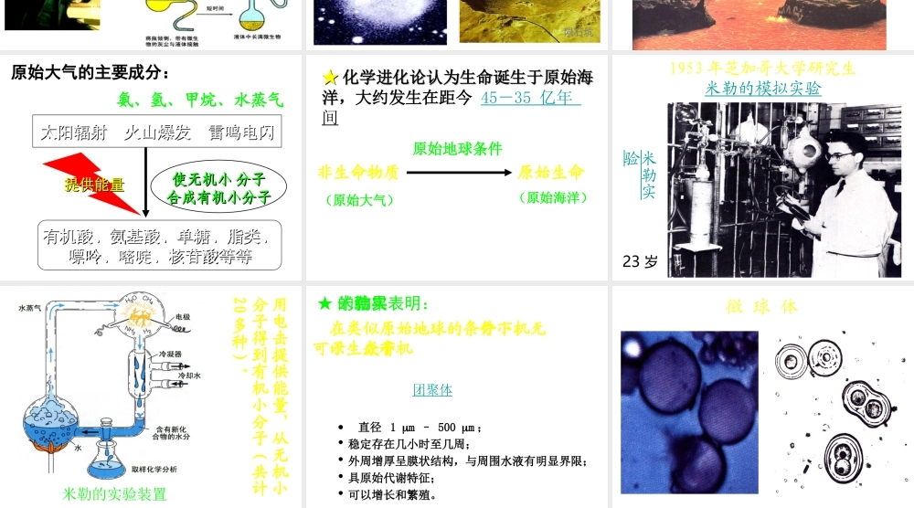 八年级生物下册 第21章 第一节 生命的起源课件2 （新版）北师大版
