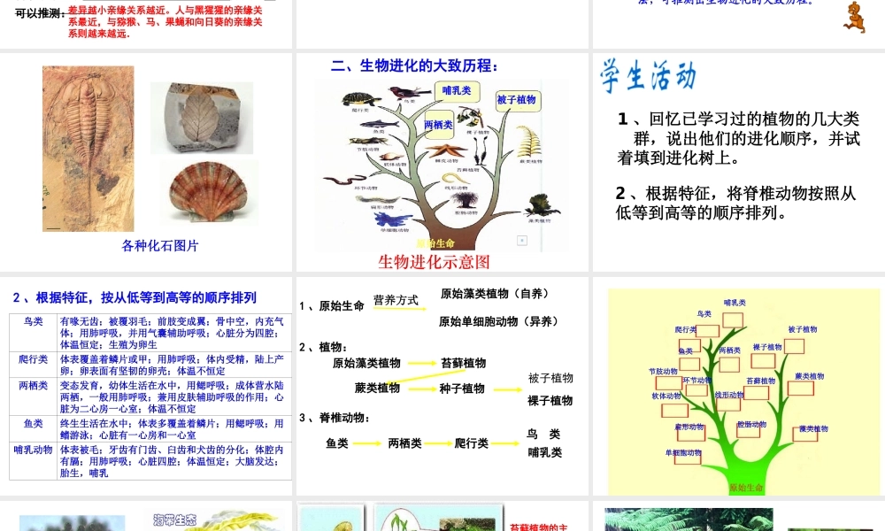 八年级生物下册 第7单元 第3章 第2节《生物进化的历程》课件 新人教版-新人教级下册生物课件