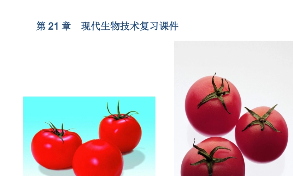 八年级生物下册 第21章《现代生物技术》课件 苏教版