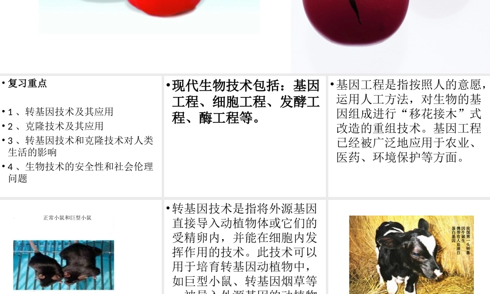 八年级生物下册 第21章《现代生物技术》课件 苏教版
