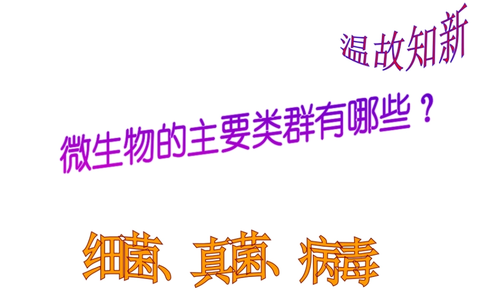 八年级生物下册 第4章 生物的类群 4.3 微生物—微生物与人类的关系课件 沪教版-沪教版初中八年级下册生物课件
