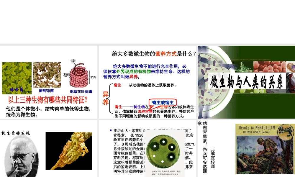 八年级生物下册 第4章 生物的类群 4.3 微生物—微生物与人类的关系课件 沪教版-沪教版初中八年级下册生物课件