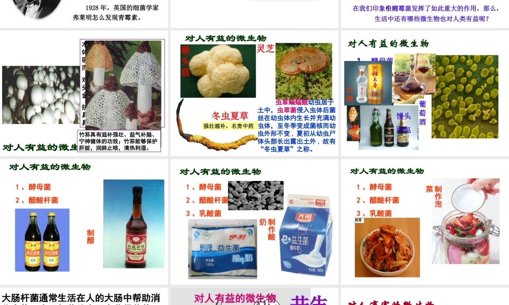 八年级生物下册 第4章 生物的类群 4.3 微生物—微生物与人类的关系课件 沪教版-沪教版初中八年级下册生物课件