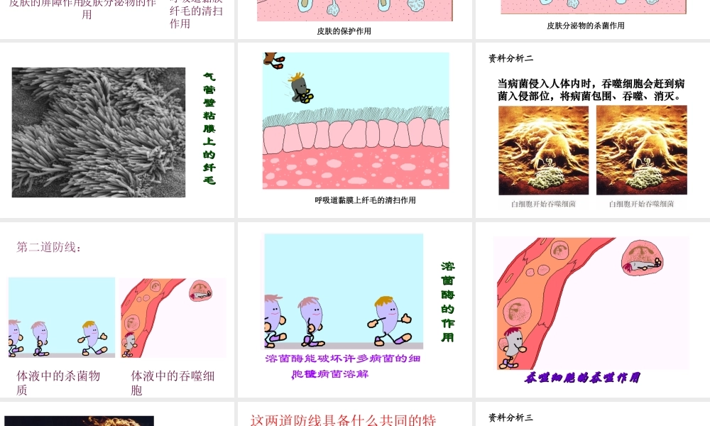 八年级生物下册 第八单元 第一章 第2节 免疫和计划免疫课件2 新人教版-新人教级下册生物课件