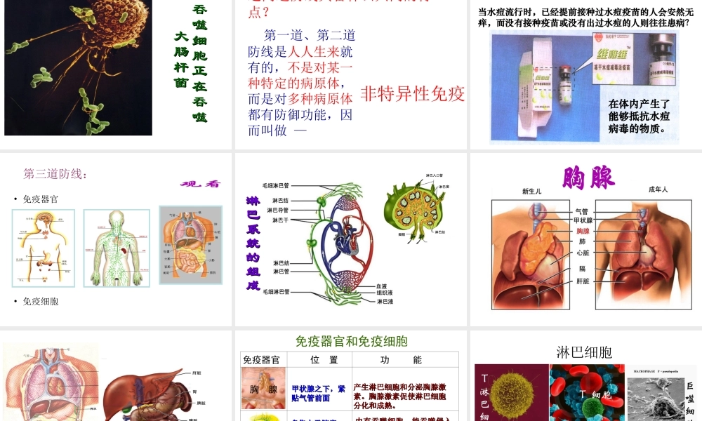八年级生物下册 第八单元 第一章 第2节 免疫和计划免疫课件2 新人教版-新人教级下册生物课件
