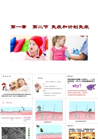八年级生物下册 第八单元 第一章 第2节 免疫和计划免疫课件2 新人教版-新人教级下册生物课件