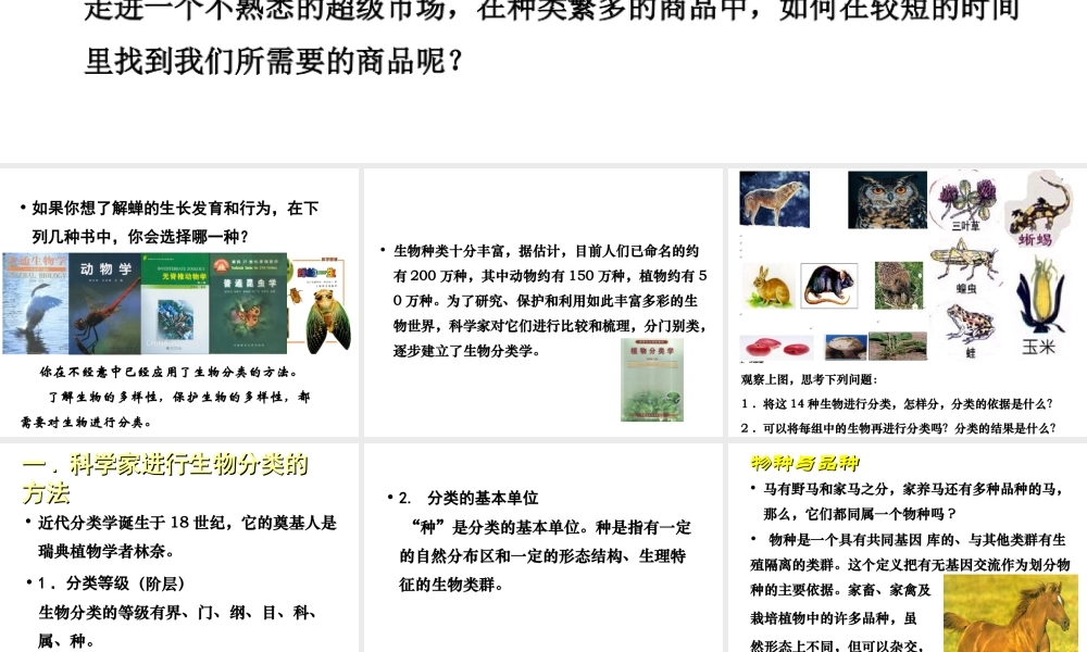 八年级生物下册 第22章 第1节 生物的分类课件 北师大版