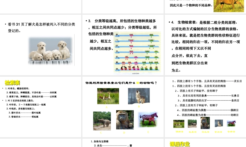 八年级生物下册 第22章 第1节 生物的分类课件 北师大版