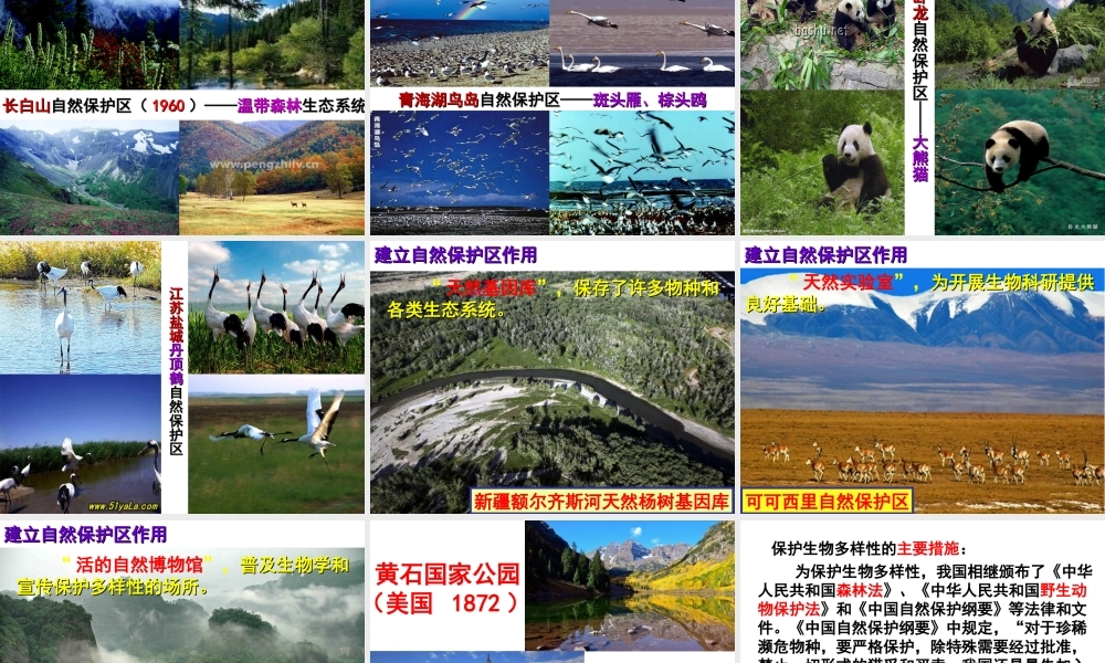 八年级生物下册 第7单元 第3章 第3节 保护生物多样性课件 （新版）冀教版-（新版）冀教版初中八年级下册生物课件