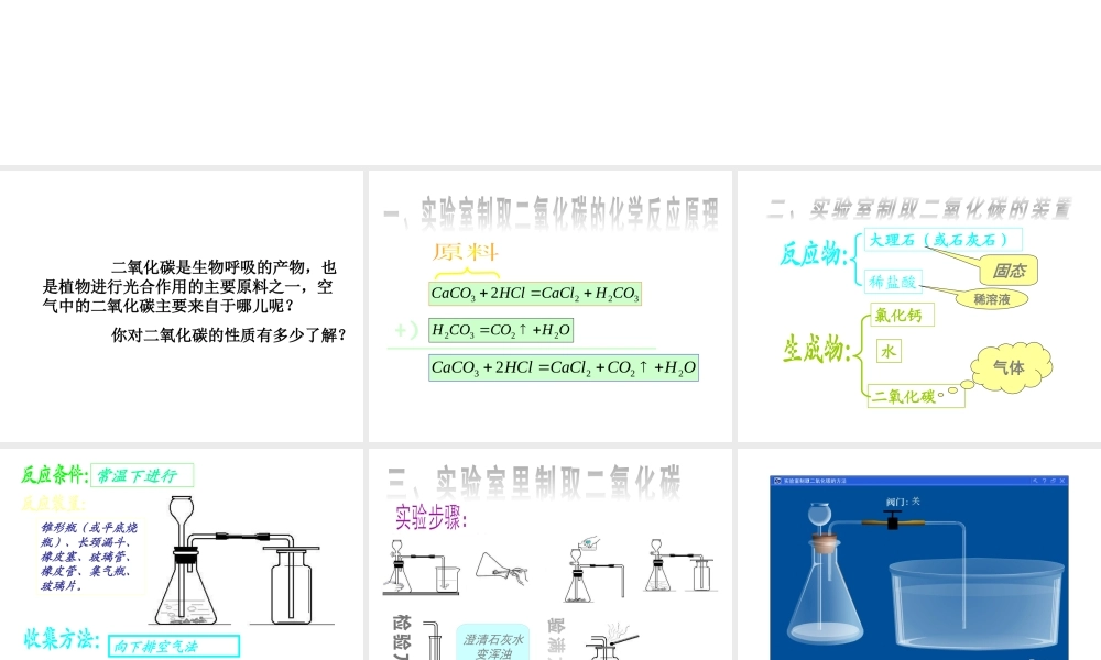 八年级科学上册 4.2.5 光合作用(2)课件 浙教版