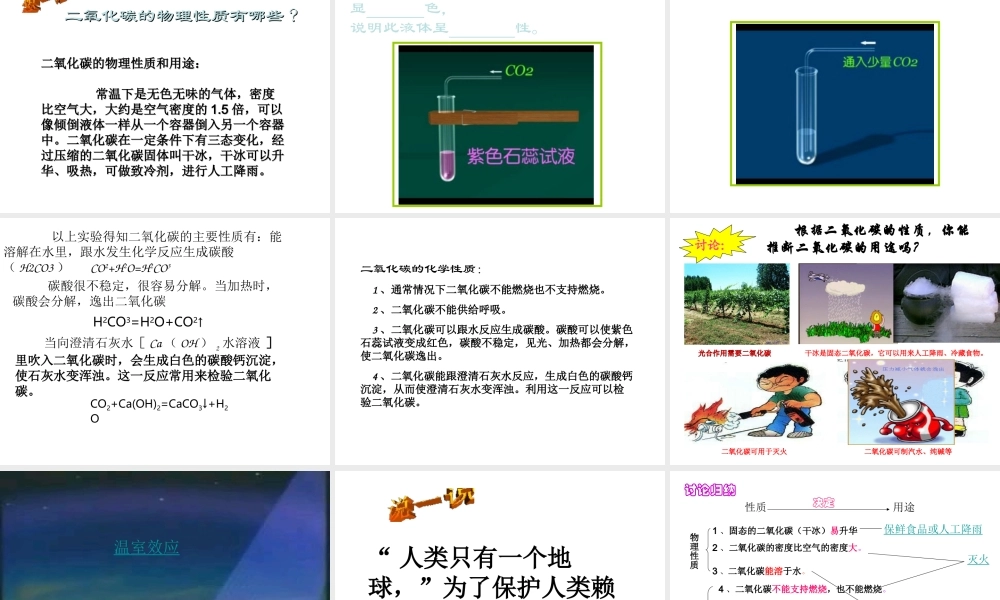 八年级科学上册 4.2.5 光合作用(2)课件 浙教版