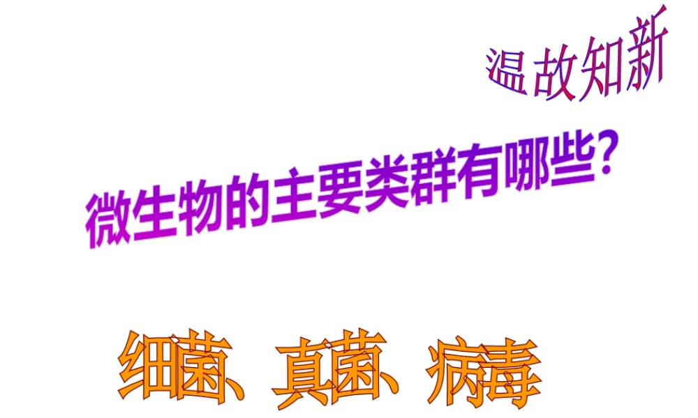 八年级生物下册 第4章 生物的类群 4.3 微生物-微生物与人类的关系课件 沪教版-沪教级下册生物课件