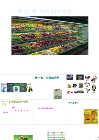 八年级生物下册 第22章 第1节 生物的分类课件 北师大版-北师大级下册生物课件