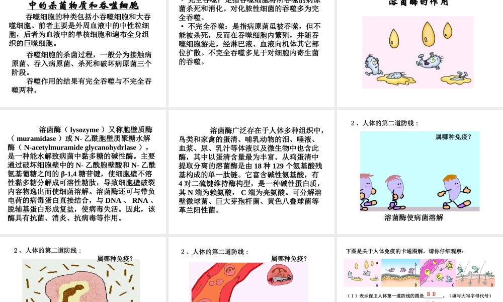 八年级生物下册 第八单元 第一章 第2节《免疫与计划免疫》课件 新人教版