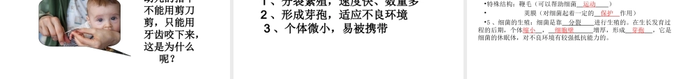 八年级生物下册 第4章 生物的类群 4.3 微生物—细菌和病毒课件 沪教版-沪教版初中八年级下册生物课件