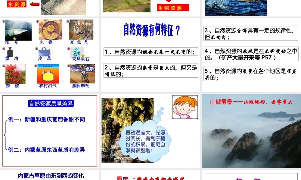 八年级的地理上册 第三章 第一节 自然资源概况课件 湘教版