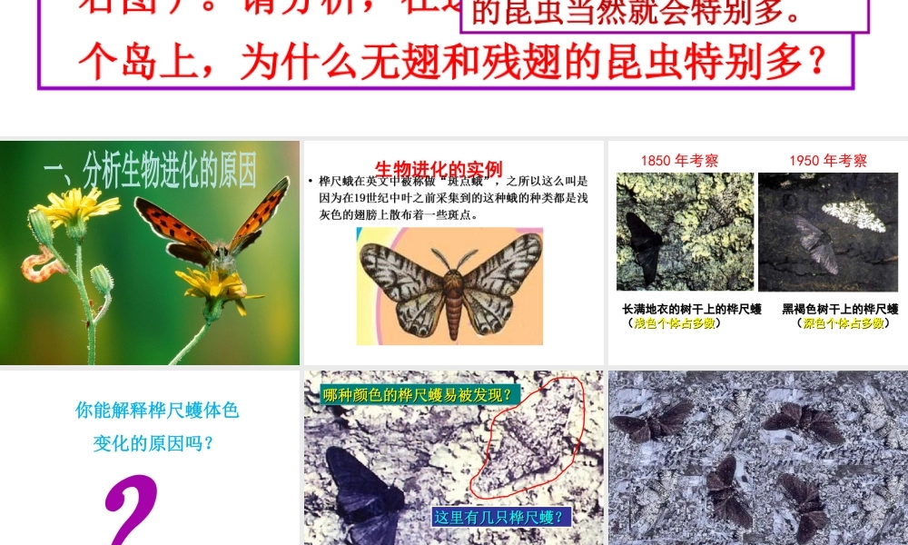 八年级生物下册 第7单元 第3章 第3节 生物进化的原因课件 （新版）新人教版-（新版）新人教版初中八年级下册生物课件