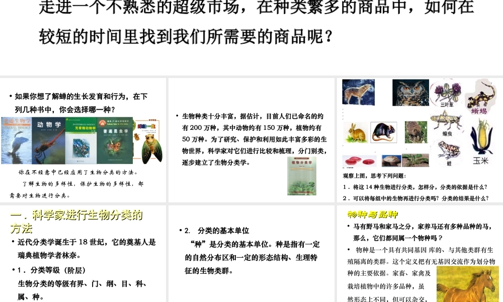 八年级生物下册 第22章 第1节《生物的分类》课件 北师大版