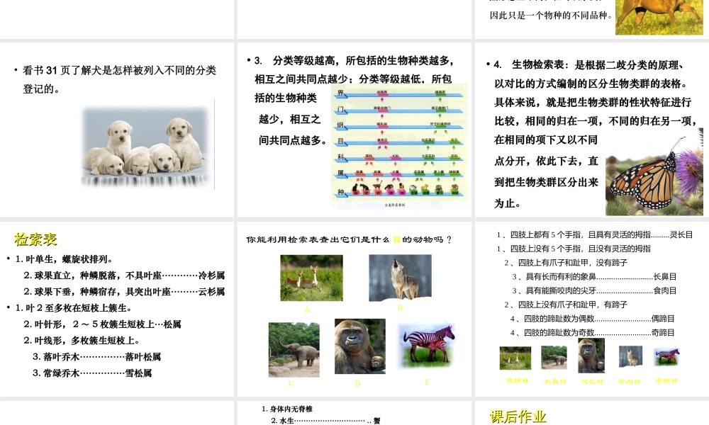 八年级生物下册 第22章 第1节《生物的分类》课件 北师大版