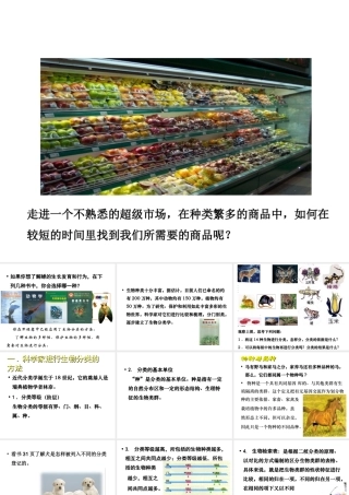 八年级生物下册 第22章 第1节《生物的分类》课件 北师大版