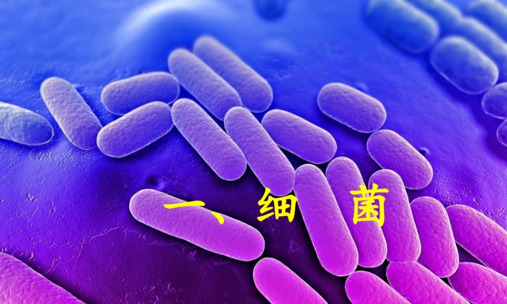 八年级生物下册 第4章 生物的类群 4.3 微生物-细菌和病毒课件 沪教版-沪教级下册生物课件