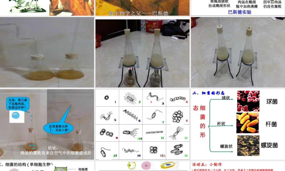 八年级生物下册 第4章 生物的类群 4.3 微生物-细菌和病毒课件 沪教版-沪教级下册生物课件