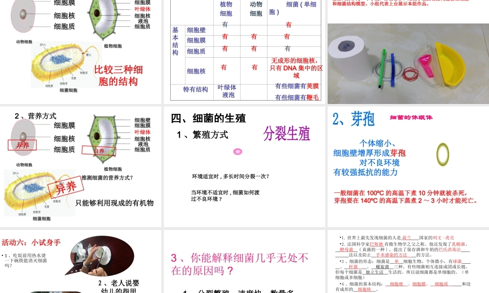 八年级生物下册 第4章 生物的类群 4.3 微生物-细菌和病毒课件 沪教版-沪教级下册生物课件
