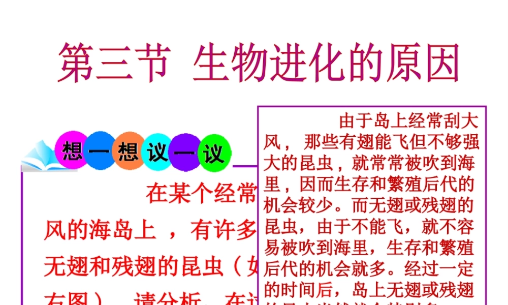 八年级生物下册 第7单元 第3章 第3节 生物进化的原因课件 （新版）新人教版-（新版）新人教级下册生物课件