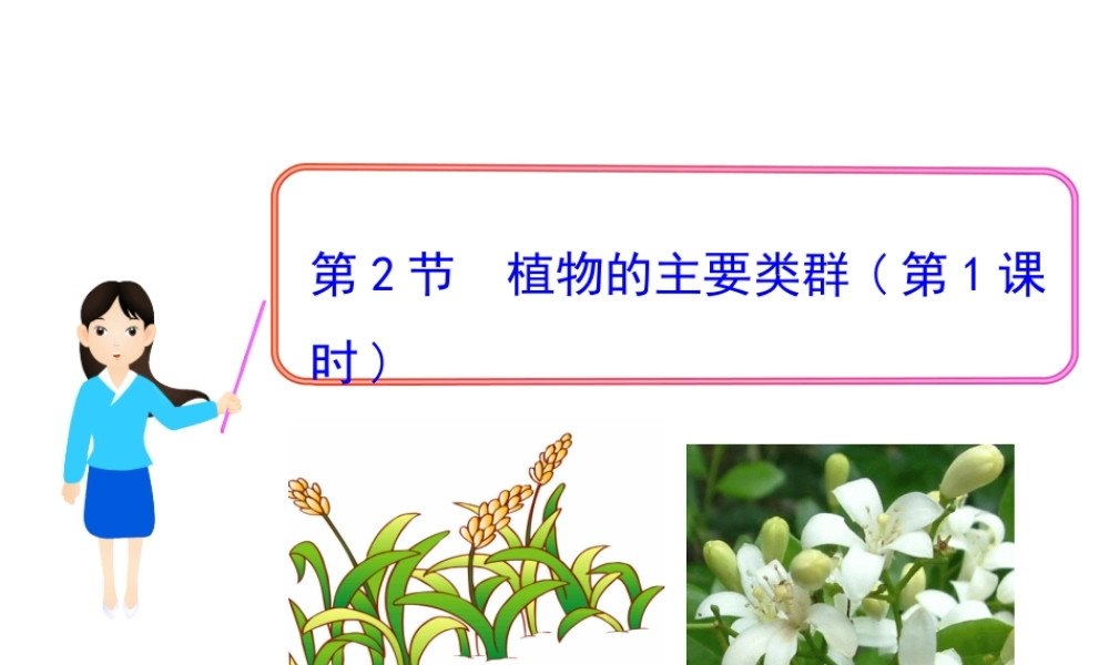 八年级生物下册 第22章 第2节 植物的主要类群（第1课时）课件 北师大版
