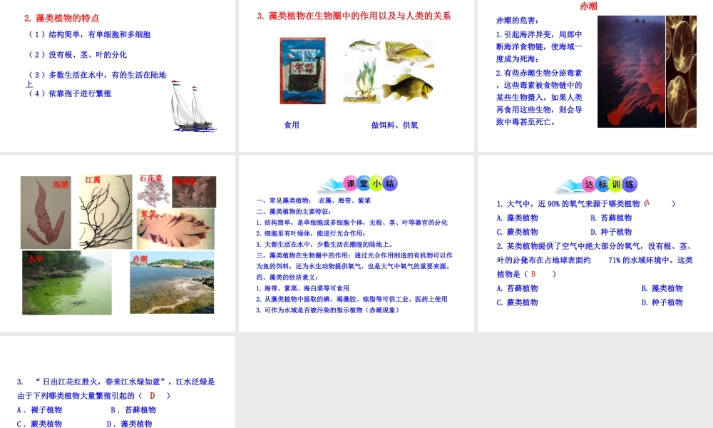 八年级生物下册 第22章 第2节 植物的主要类群（第1课时）课件 北师大版