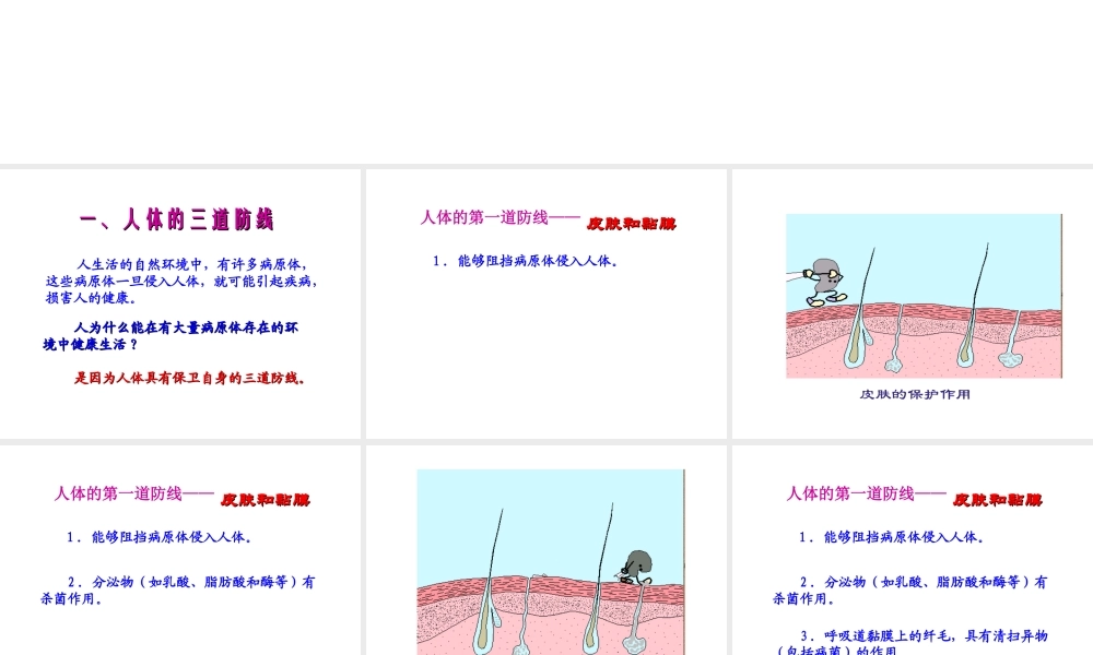 八年级生物下册 第八单元 第一章 第二节 免疫与计划免疫课件 （新版）新人教版