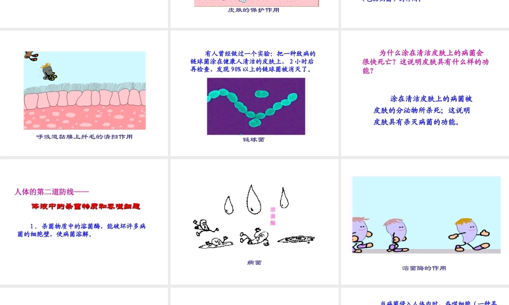 八年级生物下册 第八单元 第一章 第二节 免疫与计划免疫课件 （新版）新人教版