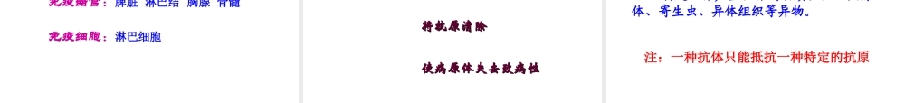 八年级生物下册 第八单元 第一章 第二节 免疫与计划免疫课件 （新版）新人教版