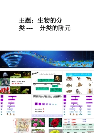 八年级生物下册 第4章 生物的类群 4.4 生物的分类—分类的阶元课件 沪教版-沪教版初中八年级下册生物课件