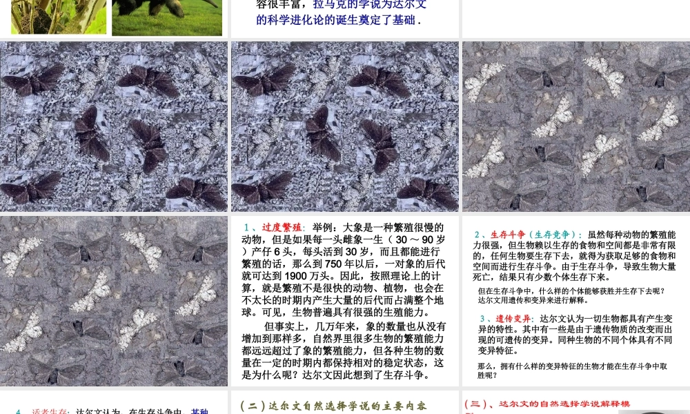 八年级生物下册 第7单元 第3章 第3节《生物进化的原因》课件 新人教版-新人教版初中八年级下册生物课件