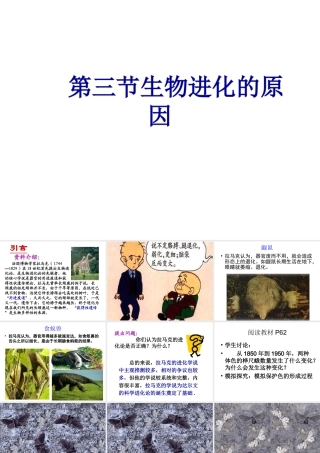 八年级生物下册 第7单元 第3章 第3节《生物进化的原因》课件 新人教版-新人教版初中八年级下册生物课件