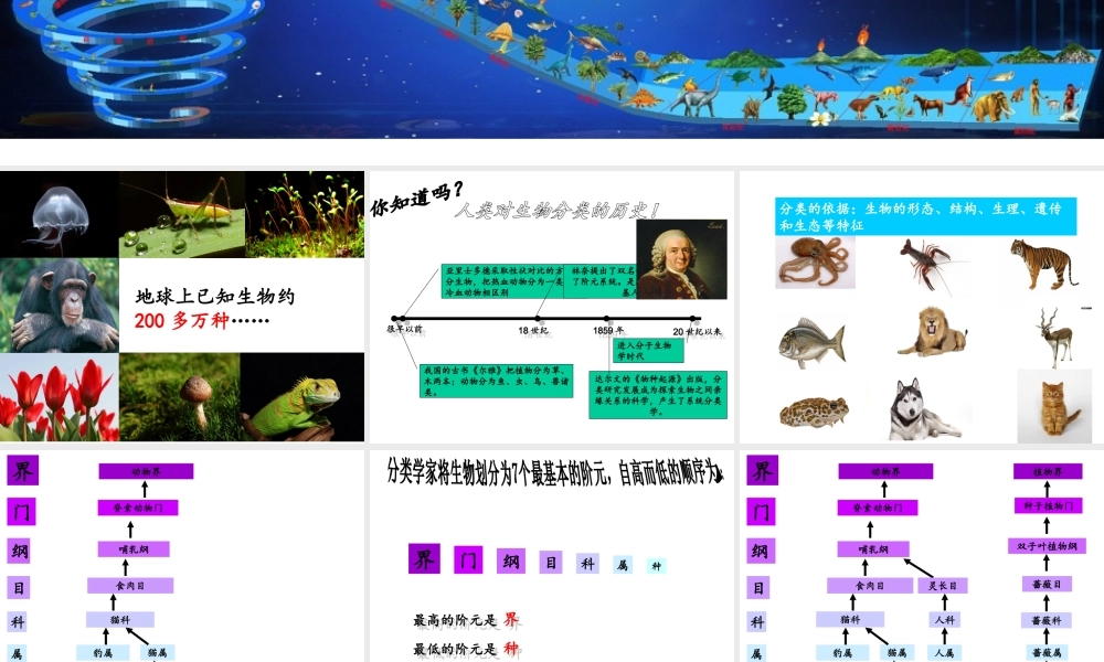 八年级生物下册 第4章 生物的类群 4.4 生物的分类-分类的阶元课件 沪教版-沪教级下册生物课件