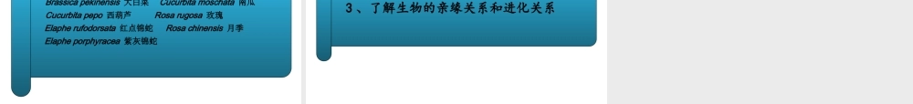 八年级生物下册 第4章 生物的类群 4.4 生物的分类-分类的阶元课件 沪教版-沪教级下册生物课件