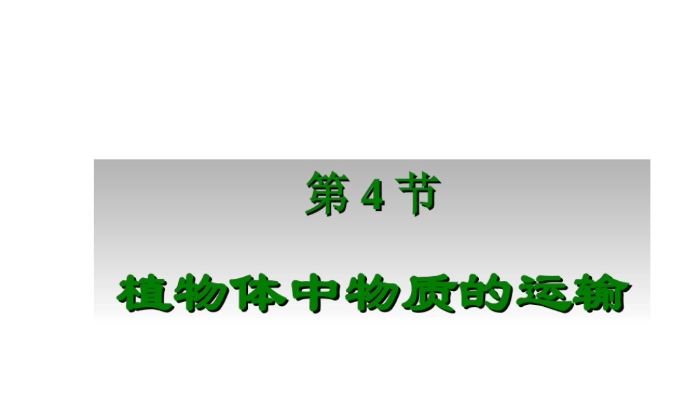 八年级科学《植物体中物质的运输》课件（1）
