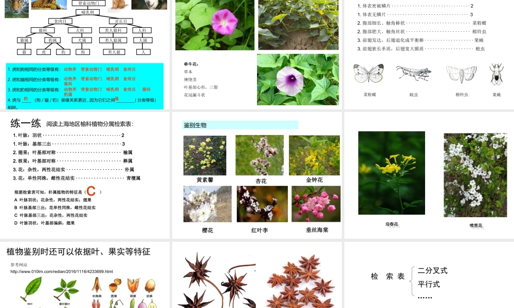 八年级生物下册 第4章 生物的类群 4.4 生物的分类—分类检索表课件 沪教版-沪教版初中八年级下册生物课件