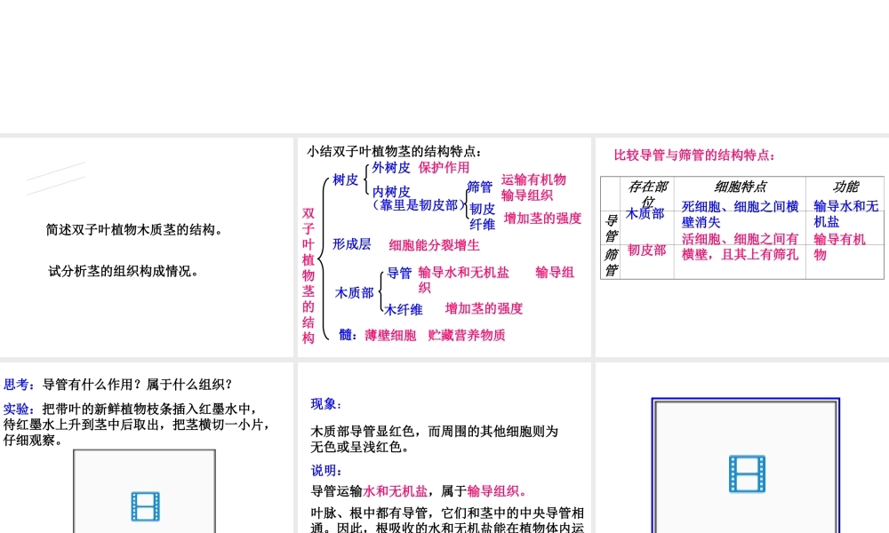 八年级科学《植物体中物质的运输》课件（2）