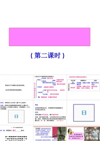 八年级科学《植物体中物质的运输》课件（2）