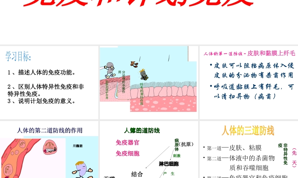 八年级生物下册 第八单元 第一章 第二节 免疫与计划免疫课件 新人教版-新人教级下册生物课件